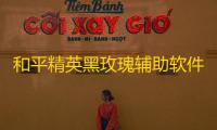 和平精英黑玫瑰辅助软件下载
